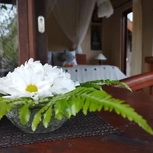 umah-ubud-bb.ubudhotelsnow.com/